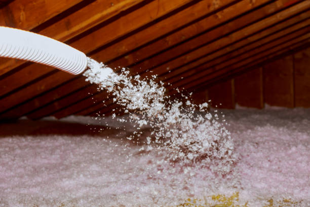 Best DIY Insulation Kits and Guidance in Reynoldsville, PA