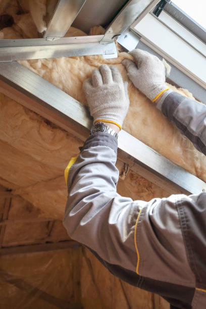 Best Specialized Insulation Services in Reynoldsville, PA